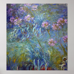 Póster Agapanthus, Monet
