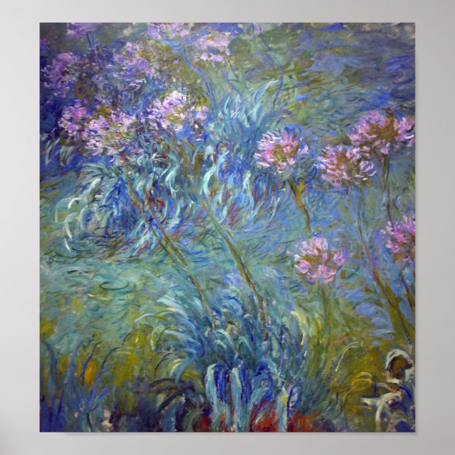 Póster Agapanthus, Monet (Frente)