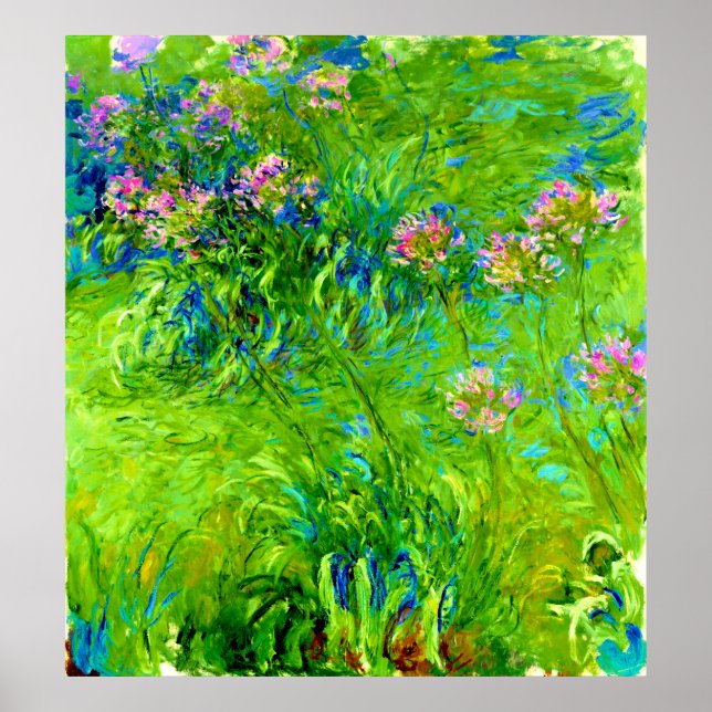 Póster Agapanthus por Claude Monet (Frente)
