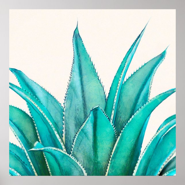 Póster Agave (Frente)