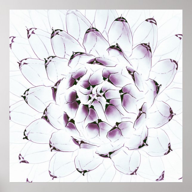 Póster Agave Cactus Poster/impresión (Frente)