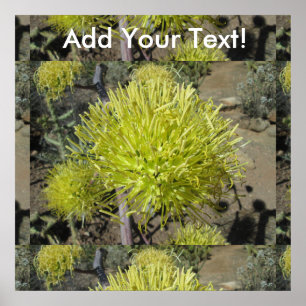 Póster Agave Giant Flower Cluster