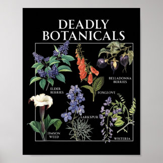Póster Agencia gubernamentalmente Botánicos Herbolaria Fl