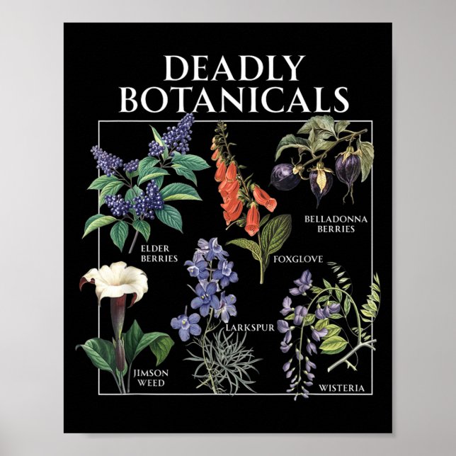 Póster Agencia gubernamentalmente Botánicos Herbolaria Fl (Frente)