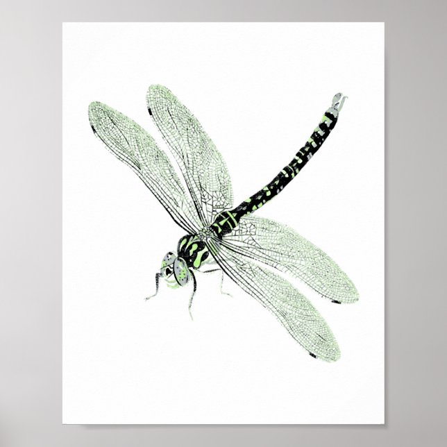 Póster Agender Pride Vintage Dragonfly Art (Frente)