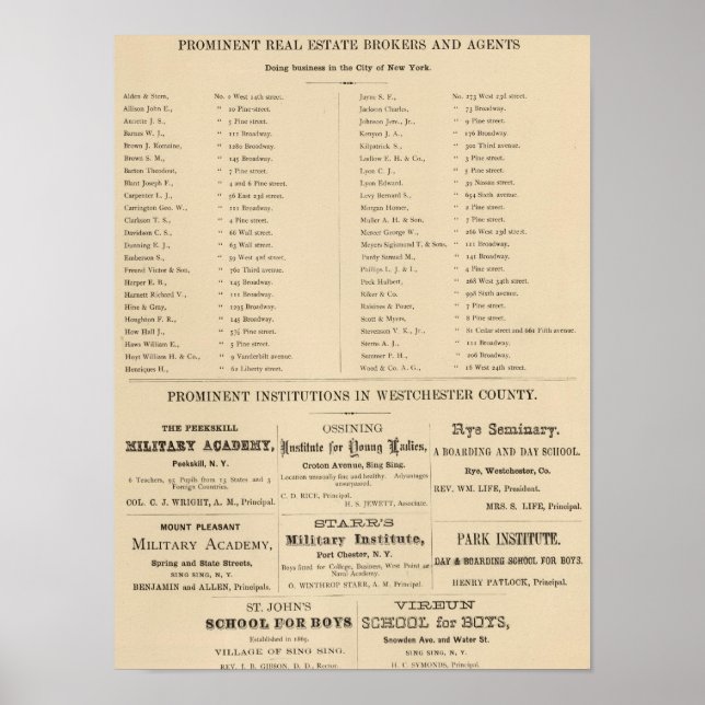 Póster Agentes inmobiliarios, Instituciones de la NYC (Frente)