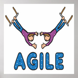 Póster Agile