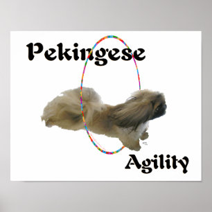 Póster Agilidad de Pekín