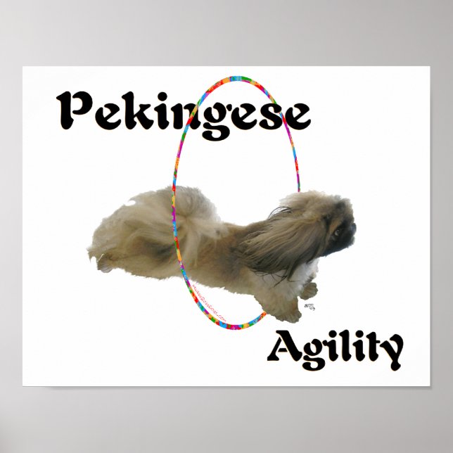 Póster Agilidad de Pekín (Frente)