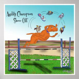 Póster Agility Champion Show Off