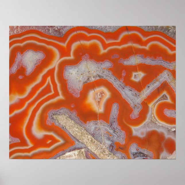 Póster Agitar la muestra (Frente)