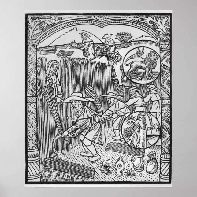 Póster Agosto, cosecha, Leo (Frente)