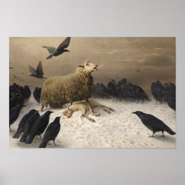 Póster Agosto Friedrich Schenck - Anguila (Frente)