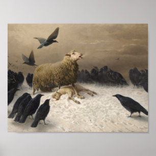 Póster Agosto Friedrich Schenck - Anguila