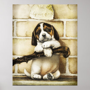 Póster Agradable Cachorro