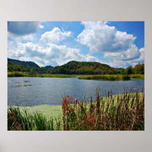 Póster Agradable Creek