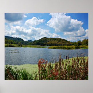 Póster Agradable Creek