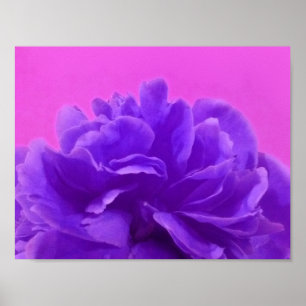 Póster Agradable Floral de frambuesa morada