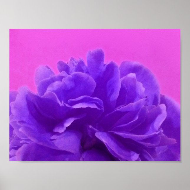 Póster Agradable Floral de frambuesa morada (Frente)