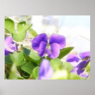 Póster Agradable Violeta De Primavera