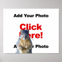 Agregar una ardilla cartel de foto personalizada