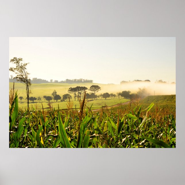 Póster Agricultura Brasil (Frente)
