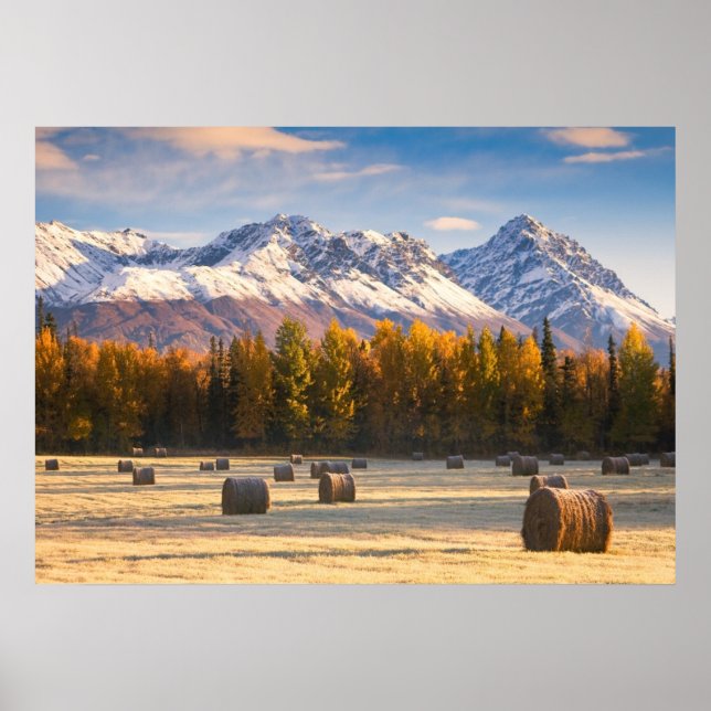 Póster Agricultura de Alaska (Frente)