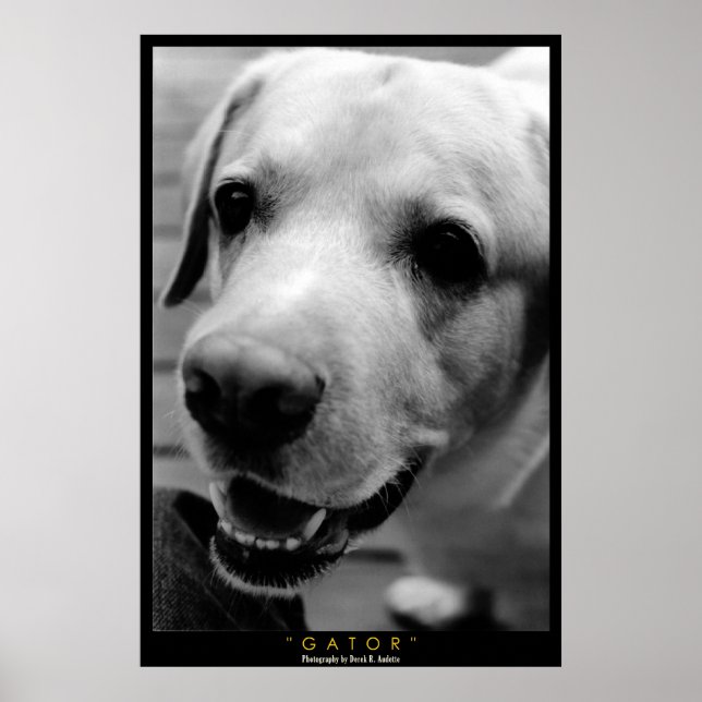 PÓSTER AGRUPADOR (Frente)