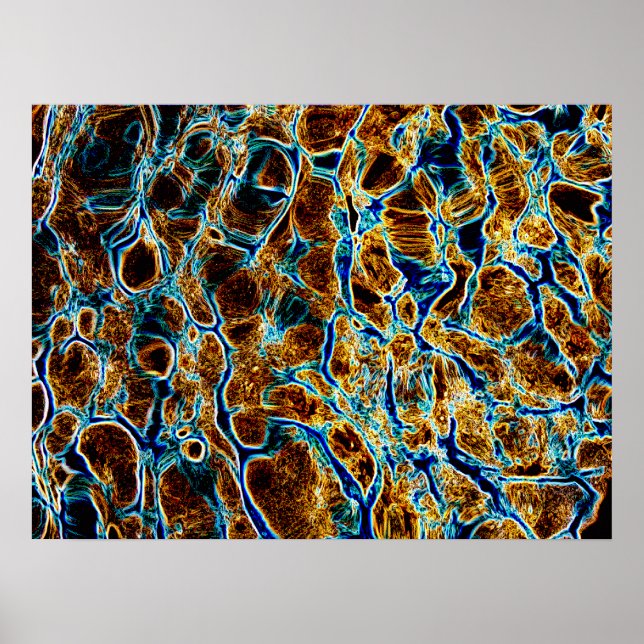 PÓSTER AGUA (Frente)