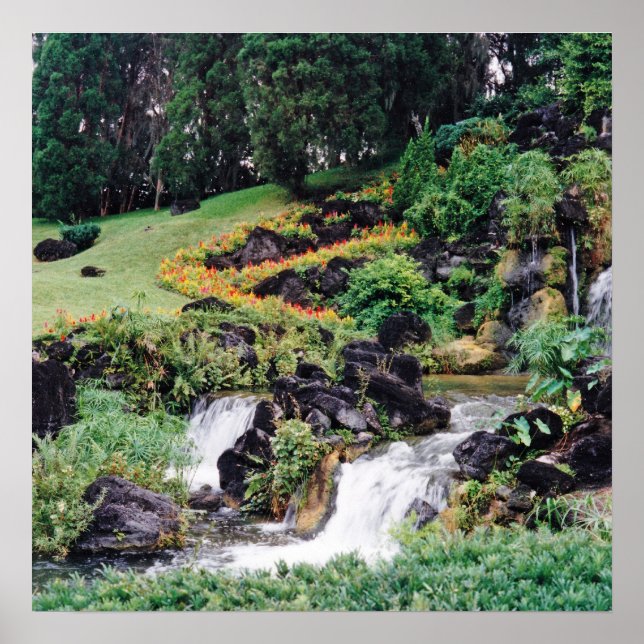 Póster Agua de curación (Frente)