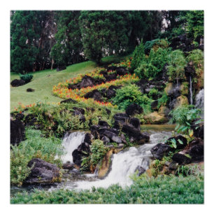 Póster Agua de curación