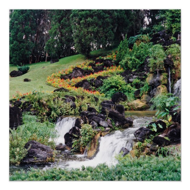 Póster Agua de curación (Anverso)