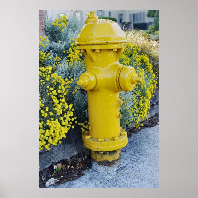 Póster Agua de fuego amarilla y flores silvestres (Frente)
