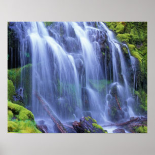 Póster Agua dulce de primavera que fluye sobre musgo