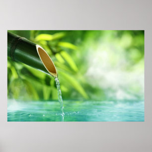 Póster Agua el milagro de toda vida sana el amor