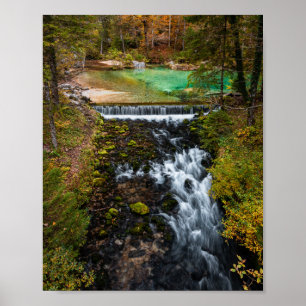 Póster Agua fluyendo a través del bosque de otoño
