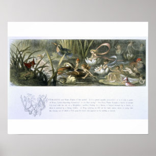 Póster Agua-Lirios y hadas del agua, ilustracion de