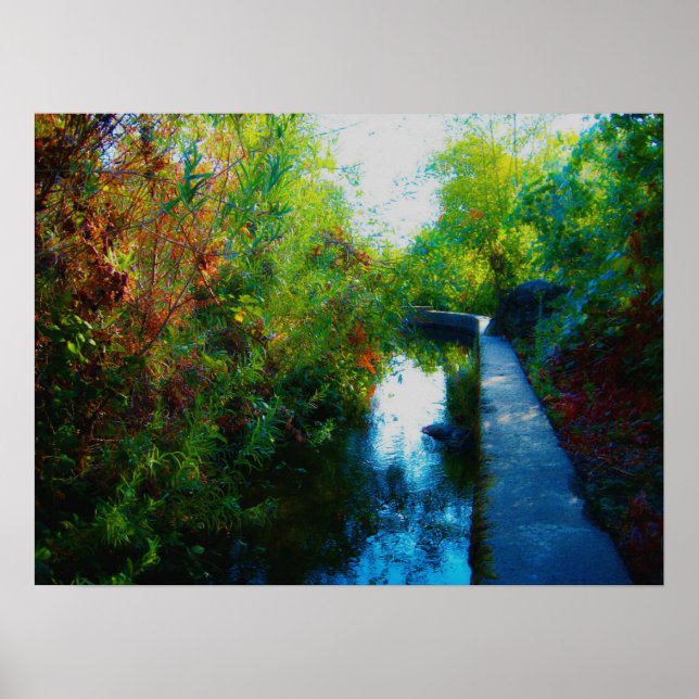 Póster "Agua pintada" (Frente)