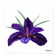 Agua Púrpura Profunda Bog Ilustracion Iris