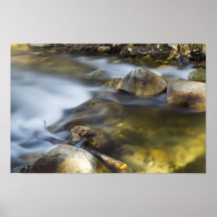 Póster Agua Silky 2 Poster