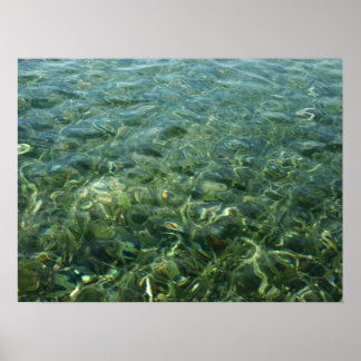 Póster Agua sobre hierba marina en la naturaleza caribeña
