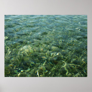 Póster Agua sobre hierba marina I Naturaleza caribeña
