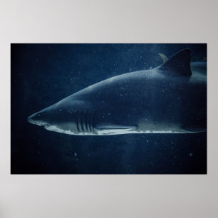 PÓSTER AGUA SUBMARINA DE TIBURÓN NEGRO Y BLANCO