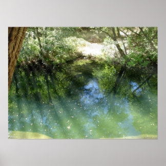 Póster agua trippy psicodélica