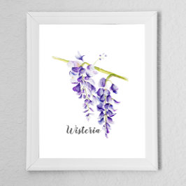 Póster Agua Wisteria Botánica