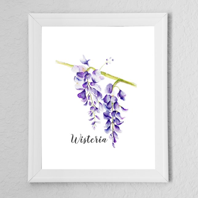 Póster Agua Wisteria Botánica (Subido por el creador)