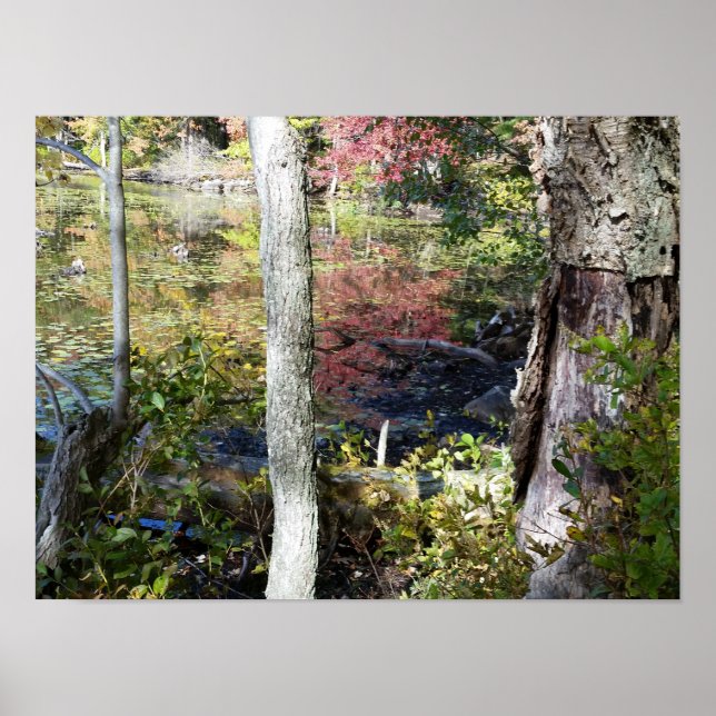 Póster agua y árboles (Frente)