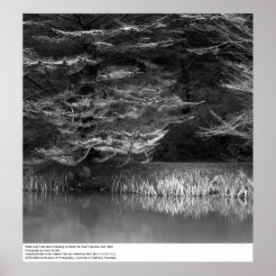 Póster Agua y árboles cerca del UC San Francisco, 1966