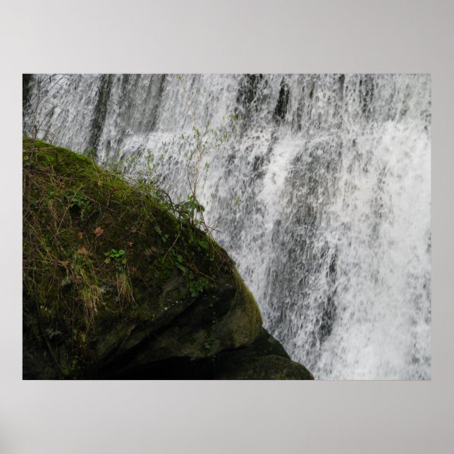 Póster Agua y Tierra (Frente)