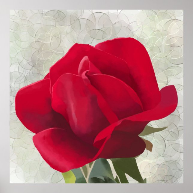 Póster Aguamarina de rosa roja  (Frente)